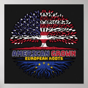Affiche European Union EU Europe US American USA United