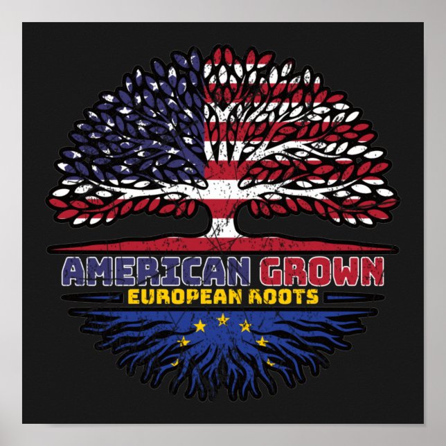 Affiche European Union EU Europe US American USA United (Devant)