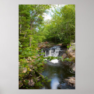 Affiche Evans Falls, Maine