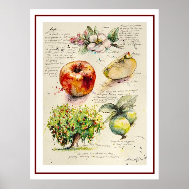 Affiche EVE Illustration peinte d'Apple (Devant)