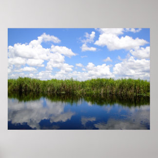 Affiche Everglades