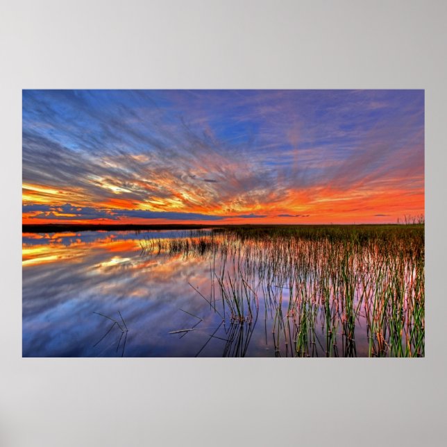 Affiche Everglades colorés, Floride, (Devant)