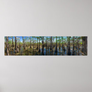 Affiche Everglades Cypress