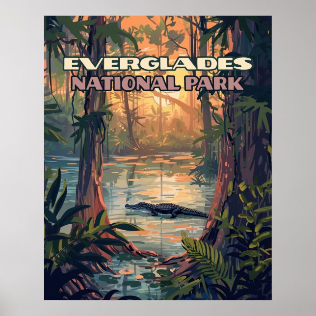 Affiche Everglades Parc National Alligator Marécage Florid (Devant)