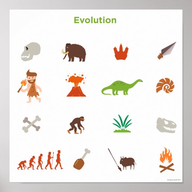 Affiche Evolution (Devant)
