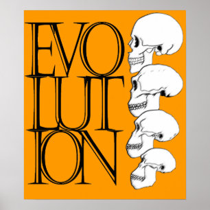 Affiche Évolution