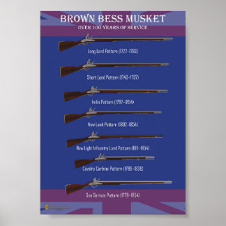 Affiche Évolution Brown du Bess