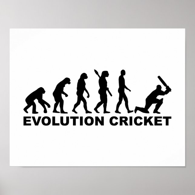 Affiche Evolution Cricket (Devant)