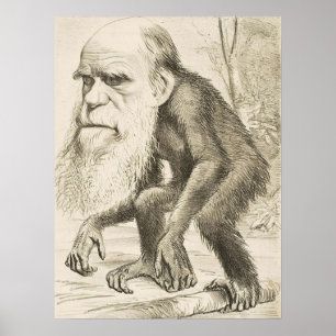 Affiche EVOLUTION DARWIN Charles Robert Darwin 1871 carica