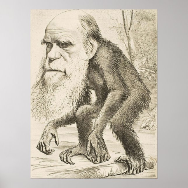Affiche EVOLUTION DARWIN Charles Robert Darwin 1871 carica (Devant)