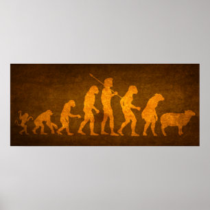 Affiche Evolution des masses Imprimer