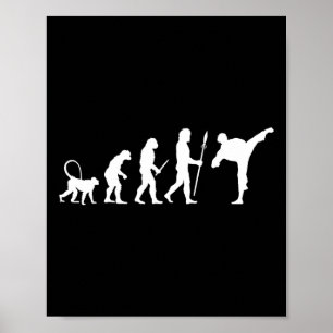 Affiche Évolution du karaté 