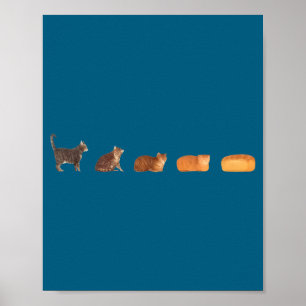 Affiche Évolution du pain de chat en forme de pain drôle m