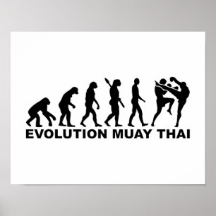 Affiche Evolution Muay Thai