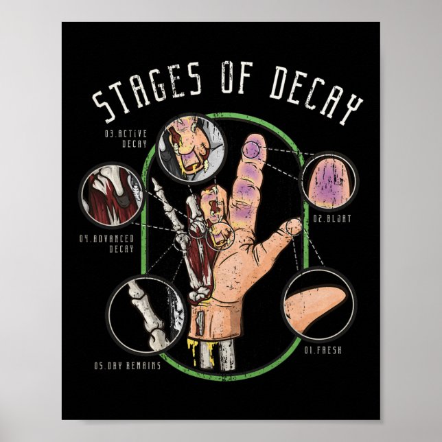 Affiche Examiner Halloween Forensics Coroner Cadeau Médica (Devant)