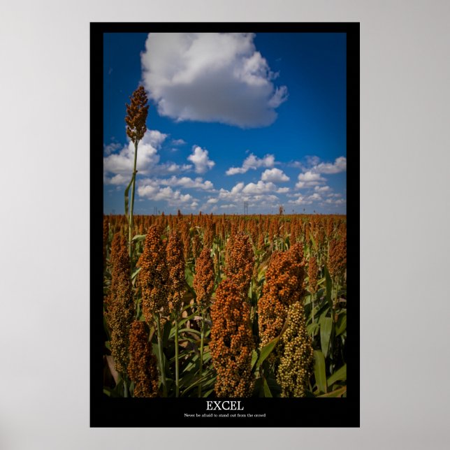 Affiche Excel (Devant)