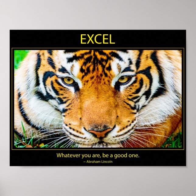 Affiche Excel (Devant)