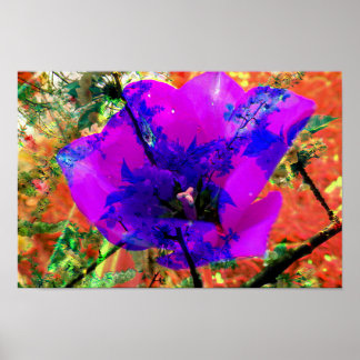 Affiche excuses parfaites