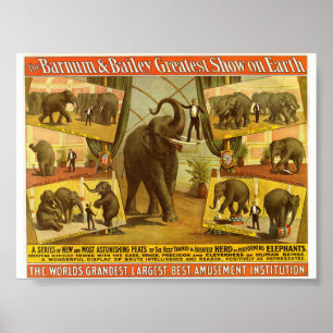Affiche Exécution des éléphants Barnum et de l'affiche de