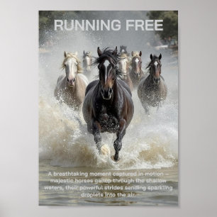 Affiche Exécution libre