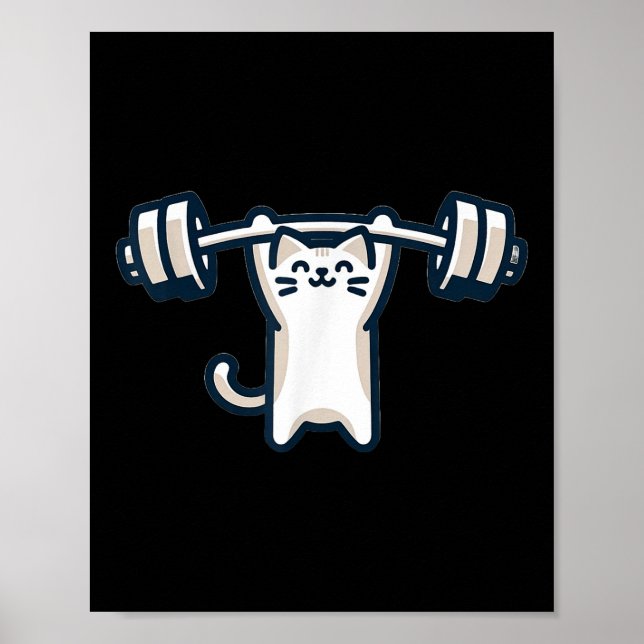 Affiche Exercice de gym pour l'aérotransport de chats (Devant)