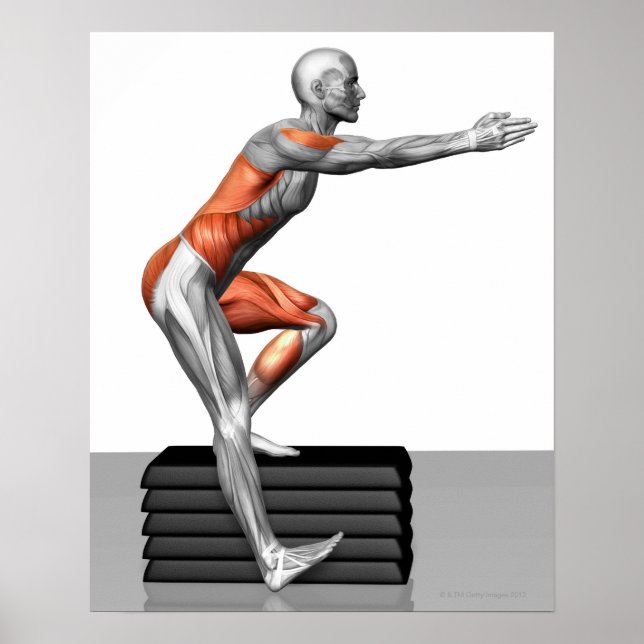 Affiche Exercices pas à pas (Devant)