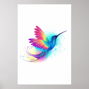 Affiche Exotic Rainbow Hummingbird