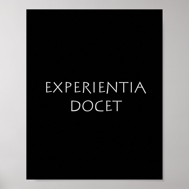 Affiche Expérience docet (Devant)