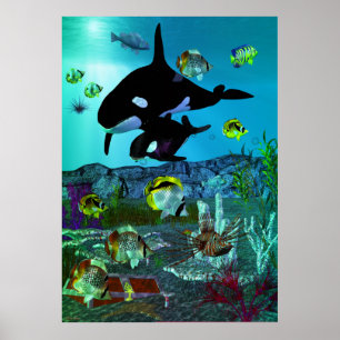 Affiche Exploration 3D Aquarium ORCA