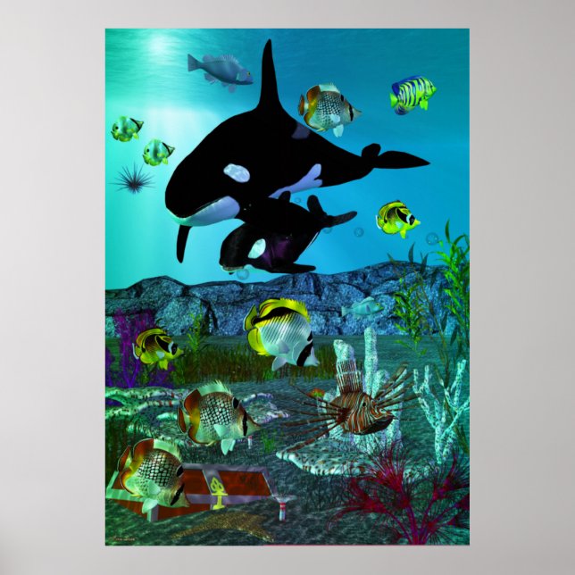 Affiche Exploration 3D Aquarium ORCA (Devant)