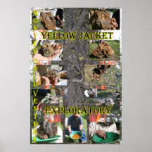 Exploratoire de veste jaune