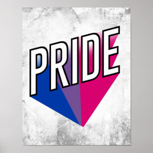 Affiche Explosion de la fierté bisexuelle