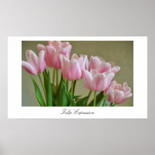 Affiche Expression de tulipe