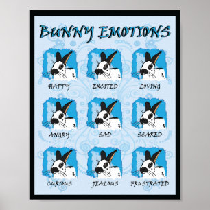 AFFICHE EXPRESSIONS DE TACHE