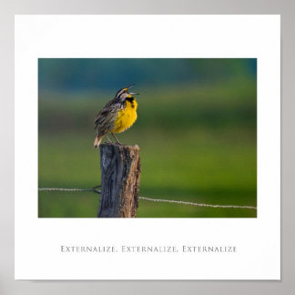 Affiche Externalize, Externalize, Externalize