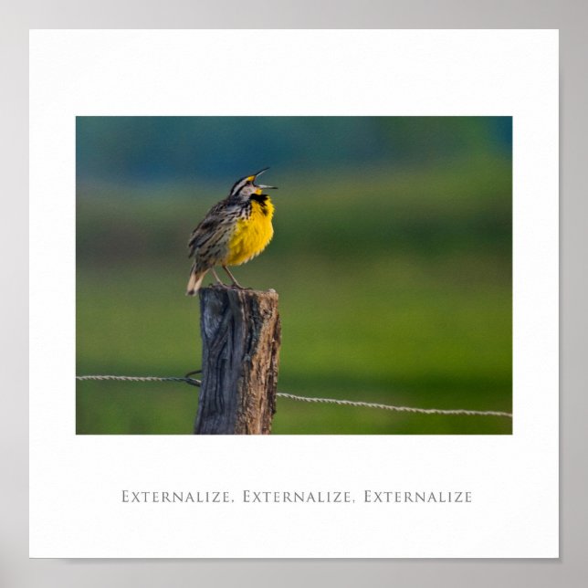 Affiche Externalize, Externalize, Externalize (Devant)