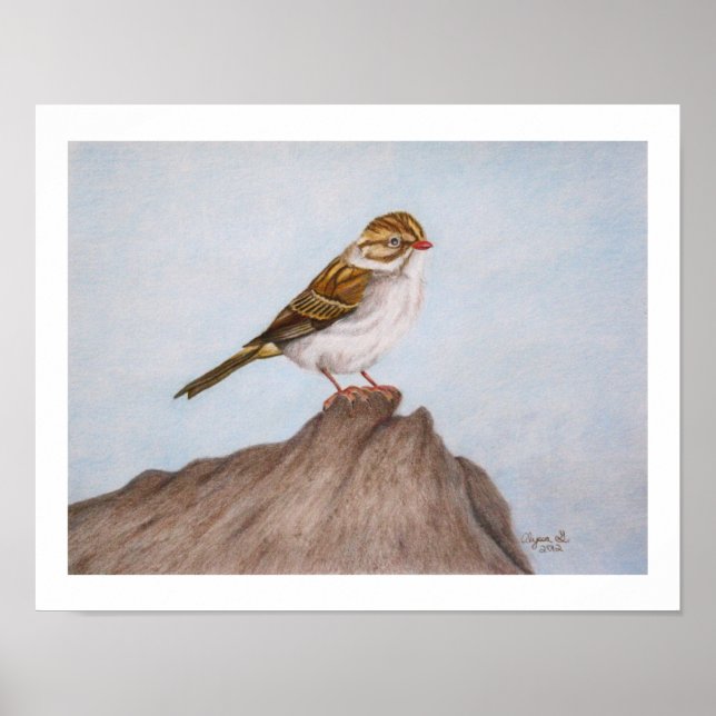 Affiche Eye on the Sparrow 11"x14" Print (Devant)