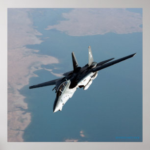 Affiche F14 des Jolly Rodgers