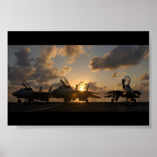 AFFICHE F-14