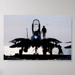 AFFICHE F-14