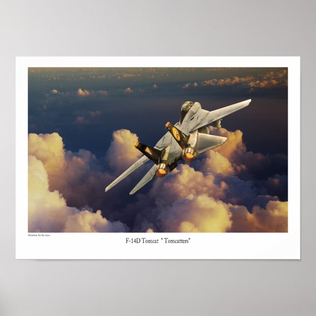 Affiche F-14 Tomcat (Devant)
