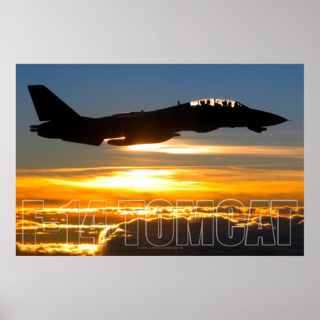 AFFICHE F-14 TOMCAT (Devant)