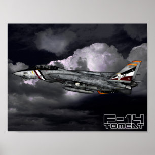 Affiche F-14 Tomcat