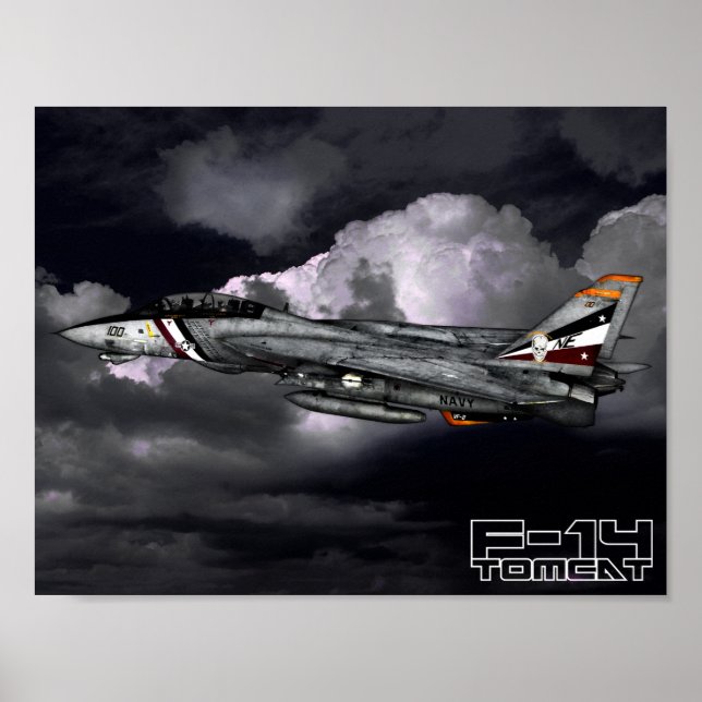 Affiche F-14 Tomcat (Devant)