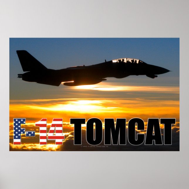 AFFICHE F-14 TOMCAT (Devant)