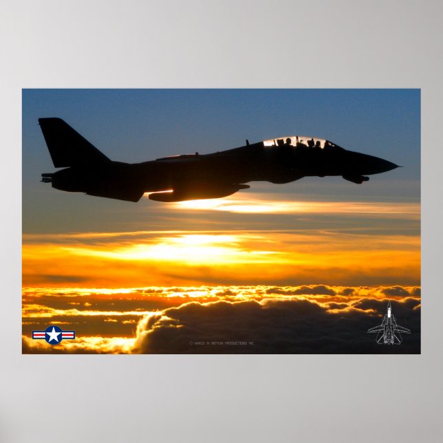 AFFICHE F-14 TOMCAT (Devant)