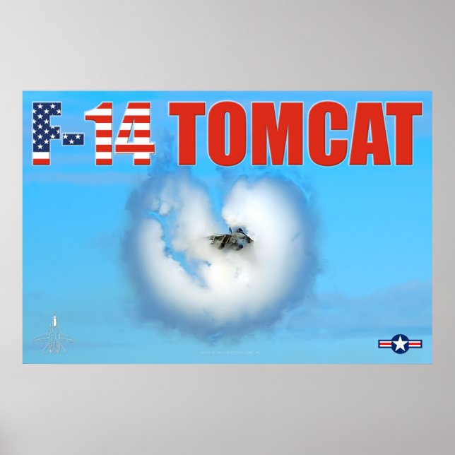 AFFICHE F-14 TOMCAT (Devant)