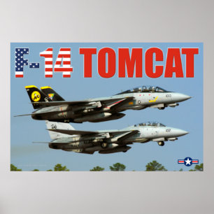 AFFICHE F-14 TOMCAT