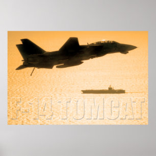 AFFICHE F-14 TOMCAT