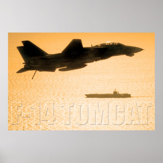 AFFICHE F-14 TOMCAT (Devant)